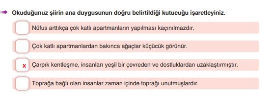 6. sınıf türkçe ders kitabı cevapları sayfa 187 yıldırım yayınları