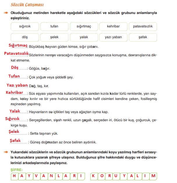 6. sınıf türkçe ders kitabı cevapları sayfa 195 yıldırım yayınları