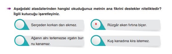 6. sınıf türkçe ders kitabı cevapları sayfa 196 yıldırım yayınları