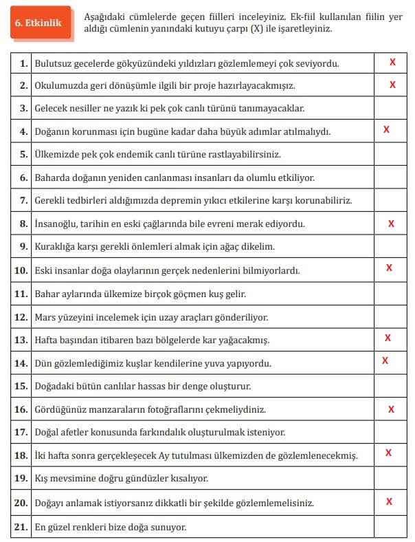 7. Sınıf Meb Yayınları Türkçe ders kitabı cevapları sayfa 181