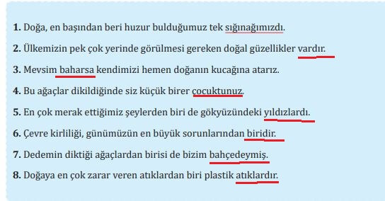 7. Sınıf Meb Yayınları Türkçe ders kitabı cevapları sayfa 186