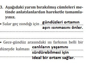 7. Sınıf Meb Yayınları Türkçe ders kitabı cevapları sayfa 202